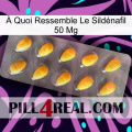 À Quoi Ressemble Le Sildénafil 50 Mg cialis1